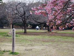 -井之头恩赐公园
