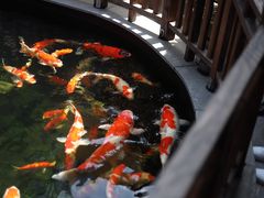 -华庭苑农家乐(旺山店)
