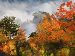 -光雾山旅游景区