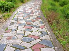 -北仑森林植物园