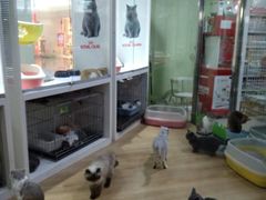 -乐宠宠物店(世纪金源店)