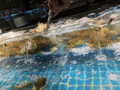 -甄品麦哲伦海鲜和牛自助(万达广场店)