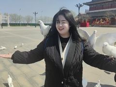 -天津妈祖文化园