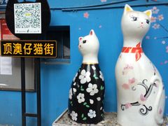 -猫咪博物馆(顶澳仔猫街店)