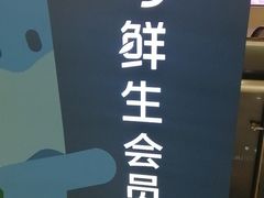 -盒马鲜生(大成店)