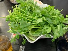 蔬菜拼盘-鼎宏干锅牛肉(富城时代店)