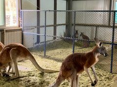 -水上乐园·欢乐世界