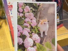 -猫的天空之城概念书店(苏州诚品店)