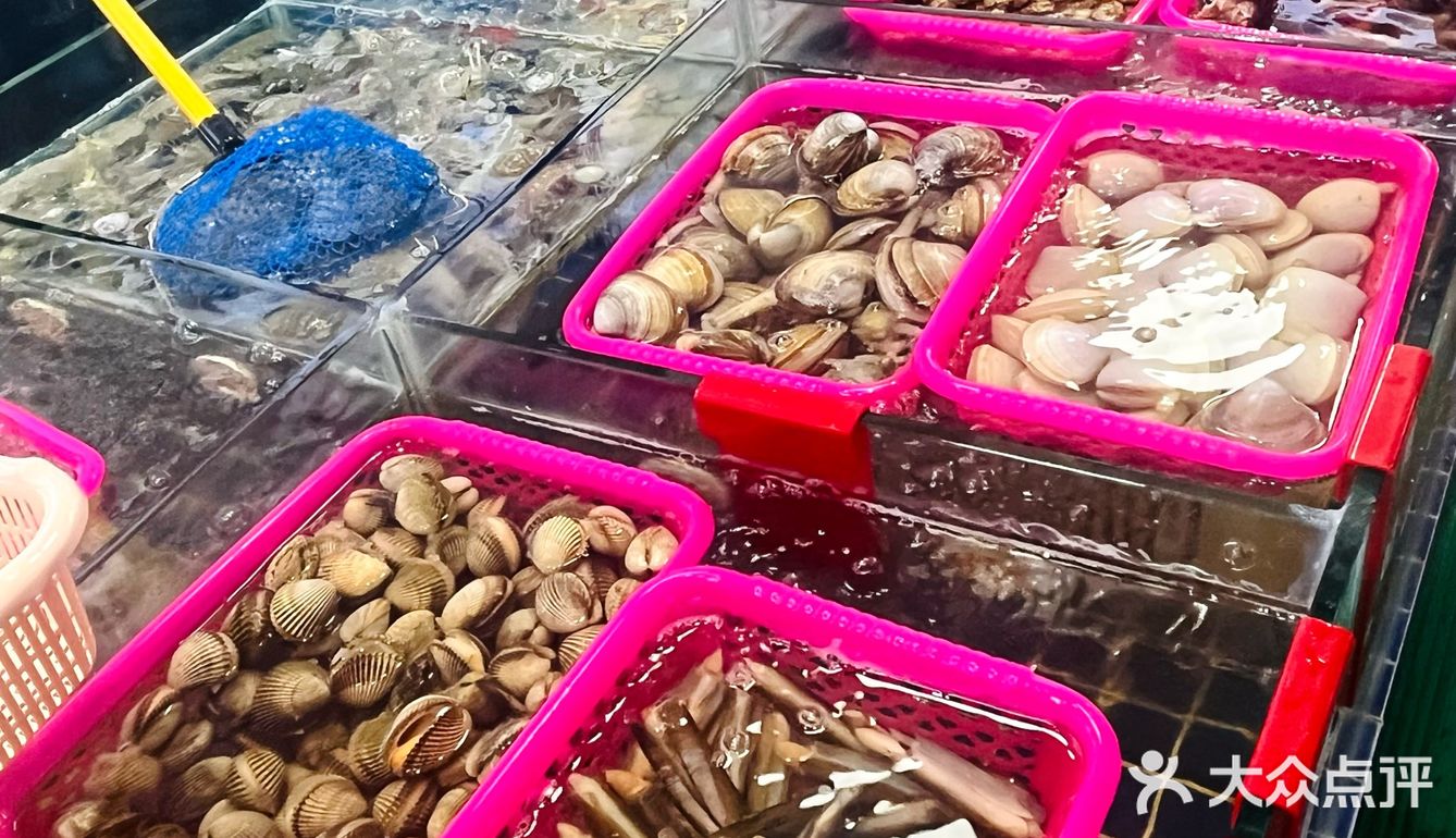 海口海鲜｜望海楼隔壁‼️竟然可以吃到新鲜现捞海鲜🐟