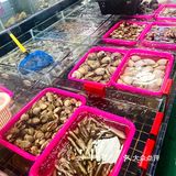海口海鲜｜望海楼隔壁‼️竟然可以吃到新鲜现捞海鲜🐟