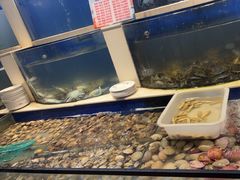 -海天盛宴新派海鲜自助餐厅(群力店)