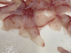 -活鱼馆(宜兴埠店)