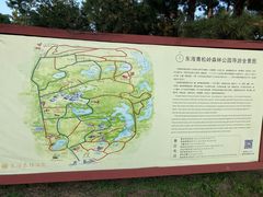 -东海森林温泉度假酒店