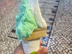 -柠檬车露(卖草地店)