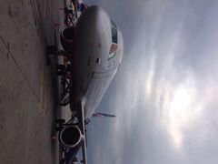 iphone_upload_pic-谢列梅捷沃国际机场