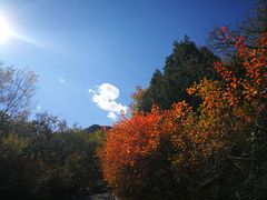 -北京鹫峰国家森林公园