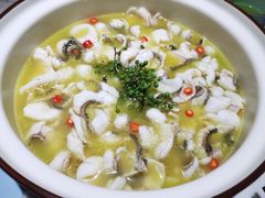 -青花椒花椒鱼(合生汇店)