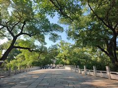 -北陵公园