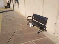 -沈阳二战盟军战俘营旧址陈列馆