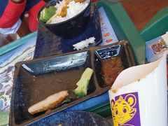 -雨林餐厅(长隆海洋王国店)