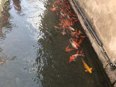 -前童古镇