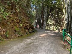 -桂山风景旅游区