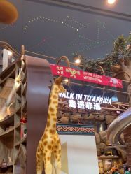 -卡通尼·Safari非洲探索乐园·生日会(金桥国际商业广场店)