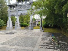 -武汉园博园(武汉自然博物馆)