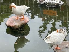 -龙华寺