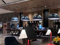 -新加坡瑞士史丹福酒店