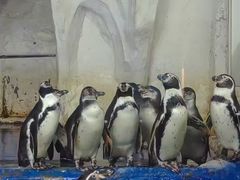 -太平洋海底世界