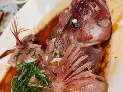 东星斑清蒸东星斑-维园悦谱·海派家常菜(乌鲁木齐南路店)
