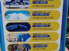 -秦皇岛乐岛海洋王国