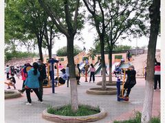 -大兴滨河森林公园