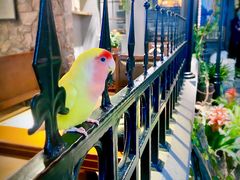 -龙抄手食府(浣花北路店)