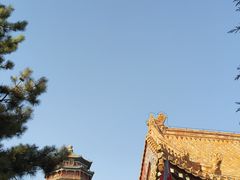 -颐和园
