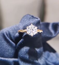 -钻石小鸟钻戒婚戒定制(石路店)