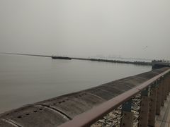 -东疆建设开发纪念公园