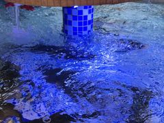 -后湖小院·乡野田园菜