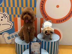 -帕帕拉兹宠物(亚洲旗舰店)