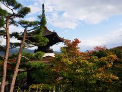 -常寂光寺