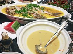 -三强鸽子(中原路店)