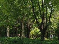 -太阳宫公园