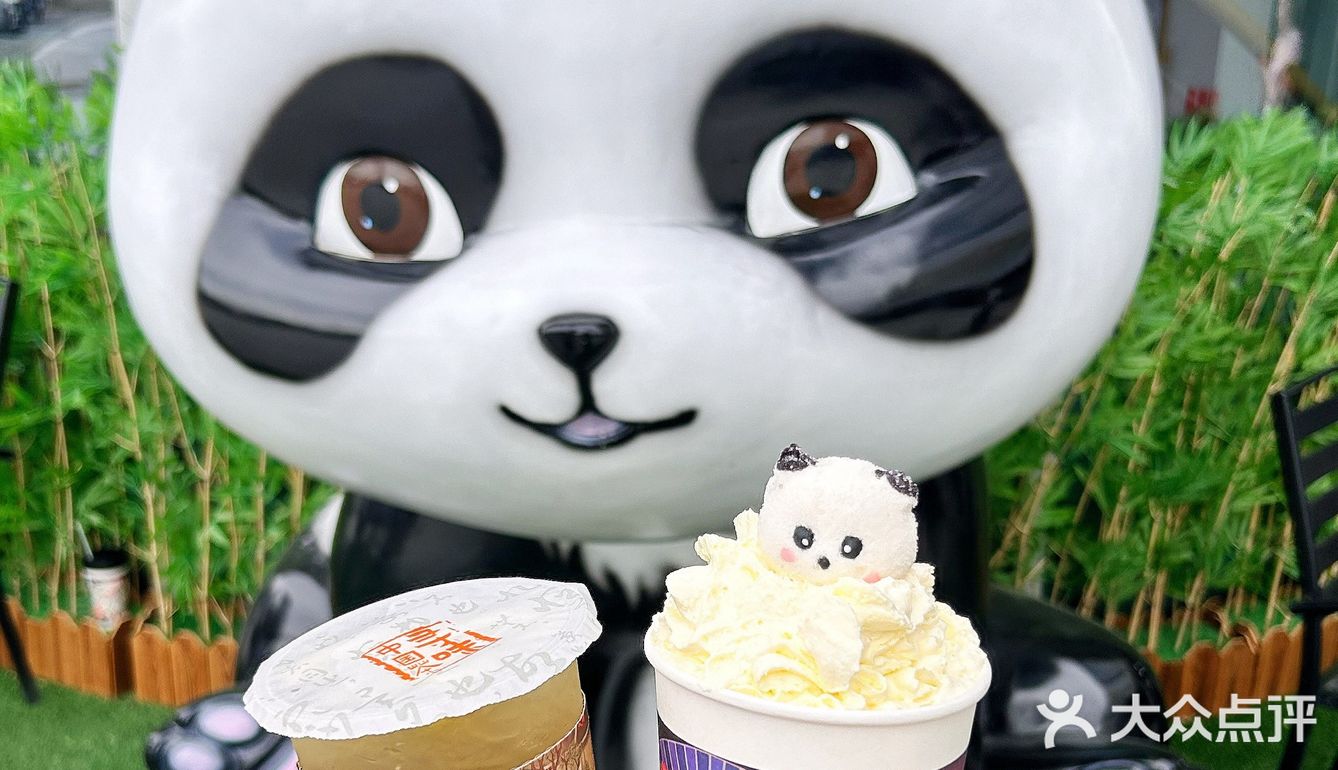 乌鲁木齐快冲！快冲！大熊猫来啦