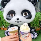 乌鲁木齐快冲！快冲！大熊猫来啦