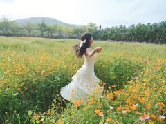 -亚龙湾国际玫瑰谷