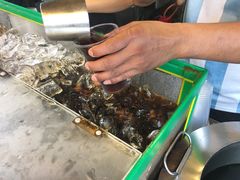 -罗汉果龙眼冰糖燉冬瓜