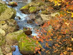 -丹东天桥沟景区