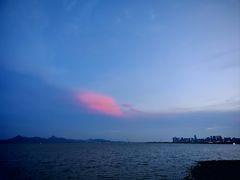 -深圳湾公园(南山区)