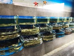 -蓝珊甄选海鲜自助·火锅大排档(近阿那亚店)